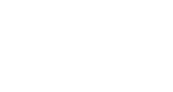 Windows 11